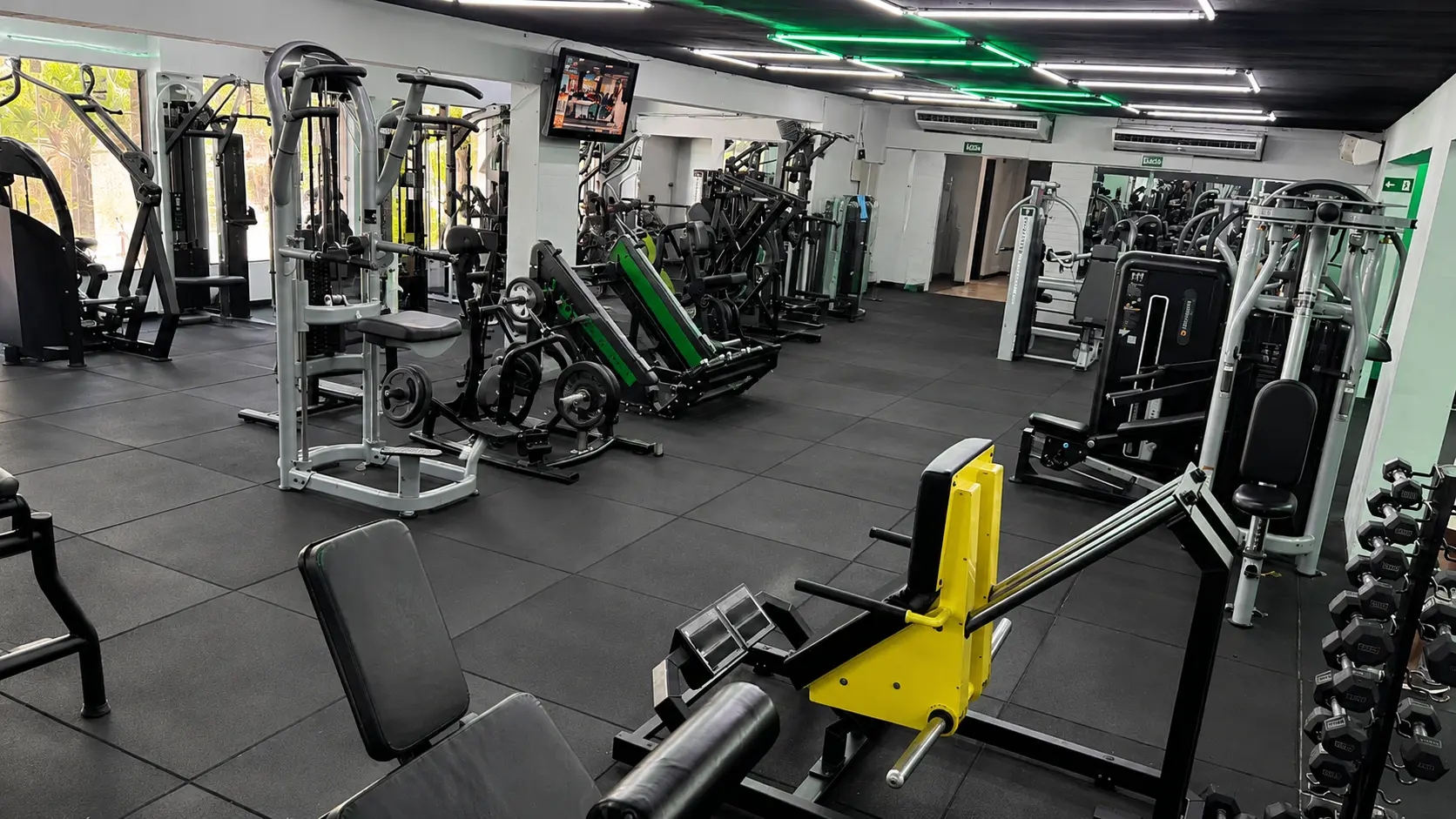 Equipamentos de força e halteres da Match Fit Setúbal